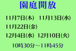 令和６年度園庭開放のお知らせ（～12月）