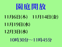 令和７年度園庭開放のお知らせ（１１月・１２月）